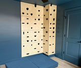 Climbing Panel - 46 X 23 X 1.5"