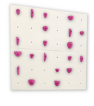 2X White Panel - Home Climbing Wall Starter Kit