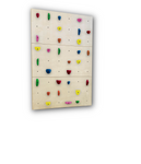 3X Birch Panel - Home Climbing Wall Starter Kit