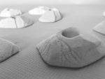 Hewn Feet Small 10x 2