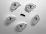 Hewn - Horns - Medium - 5x