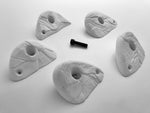 Hewn - Horns - Medium - 5x