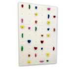 3X White Panel - Home Climbing Wall Starter Kit