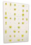 3X White Panel - Home Climbing Wall Starter Kit